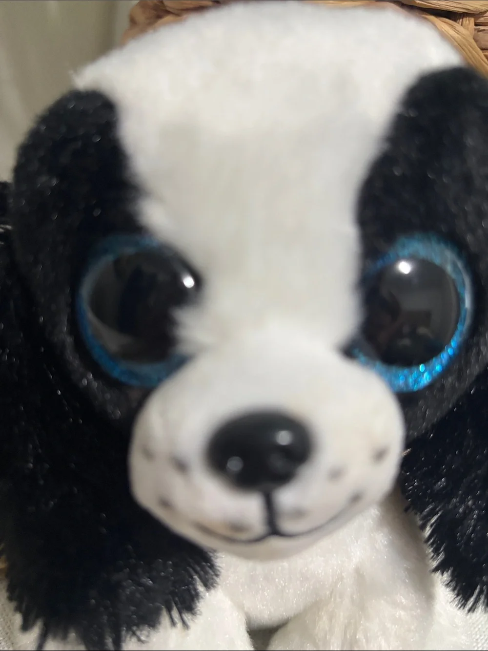 Ty Black & White Puppy Plush with Sparkling Blue Eyes